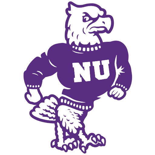 Niagara Purple Eagles logo