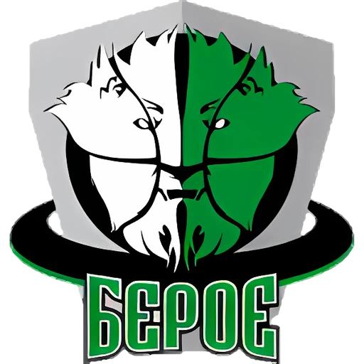 Beroe Stara Zagora logo