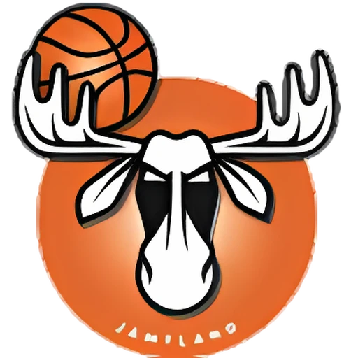 Jamtland Basket logo