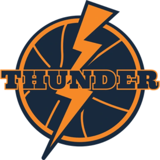 Nairobi City Thunder logo