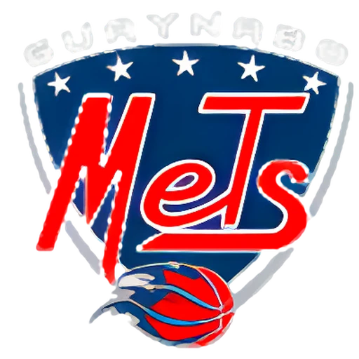 Mets logo