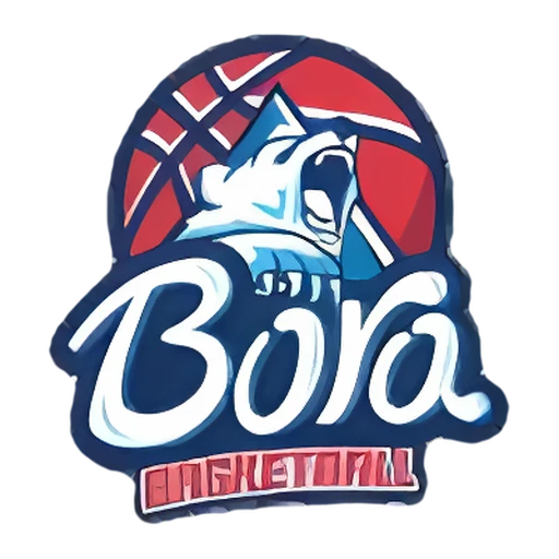 Bora logo