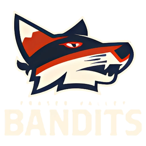 Vancouver Bandits logo