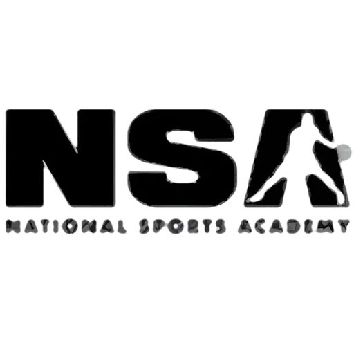 Nadim Souaid Academy logo