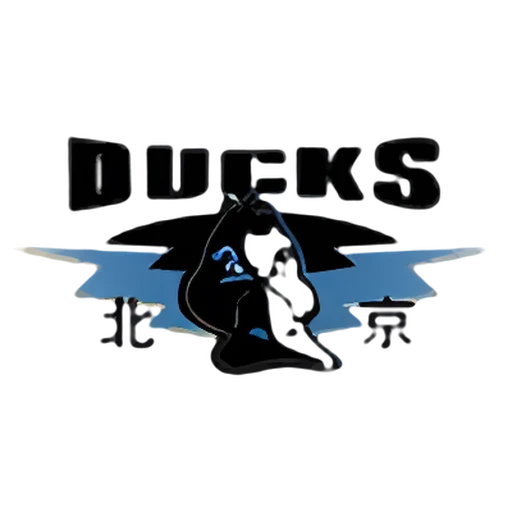Beijing R. Fighters logo