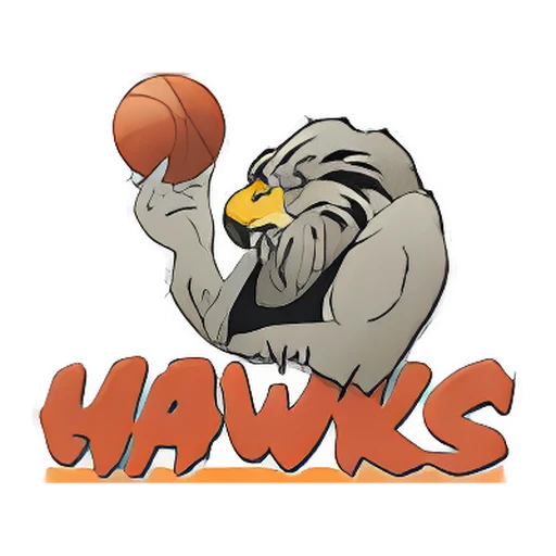Hawkes Bay Hawks logo