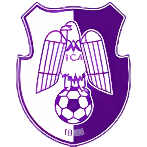 FC Arges Pitesti logo