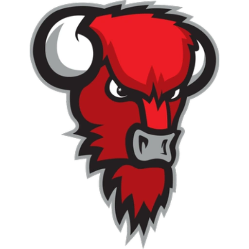 Nilan Bisons logo