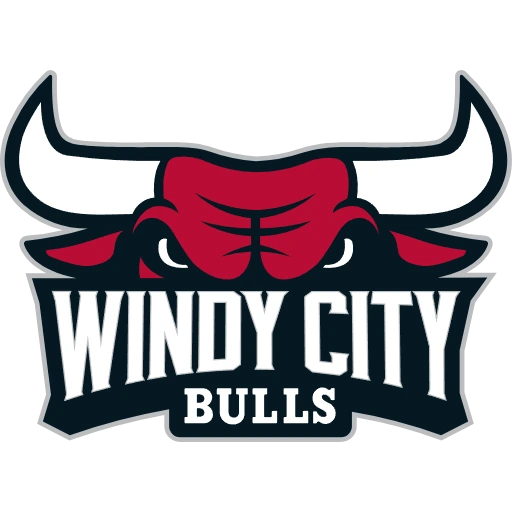 Windy City Bulls logo